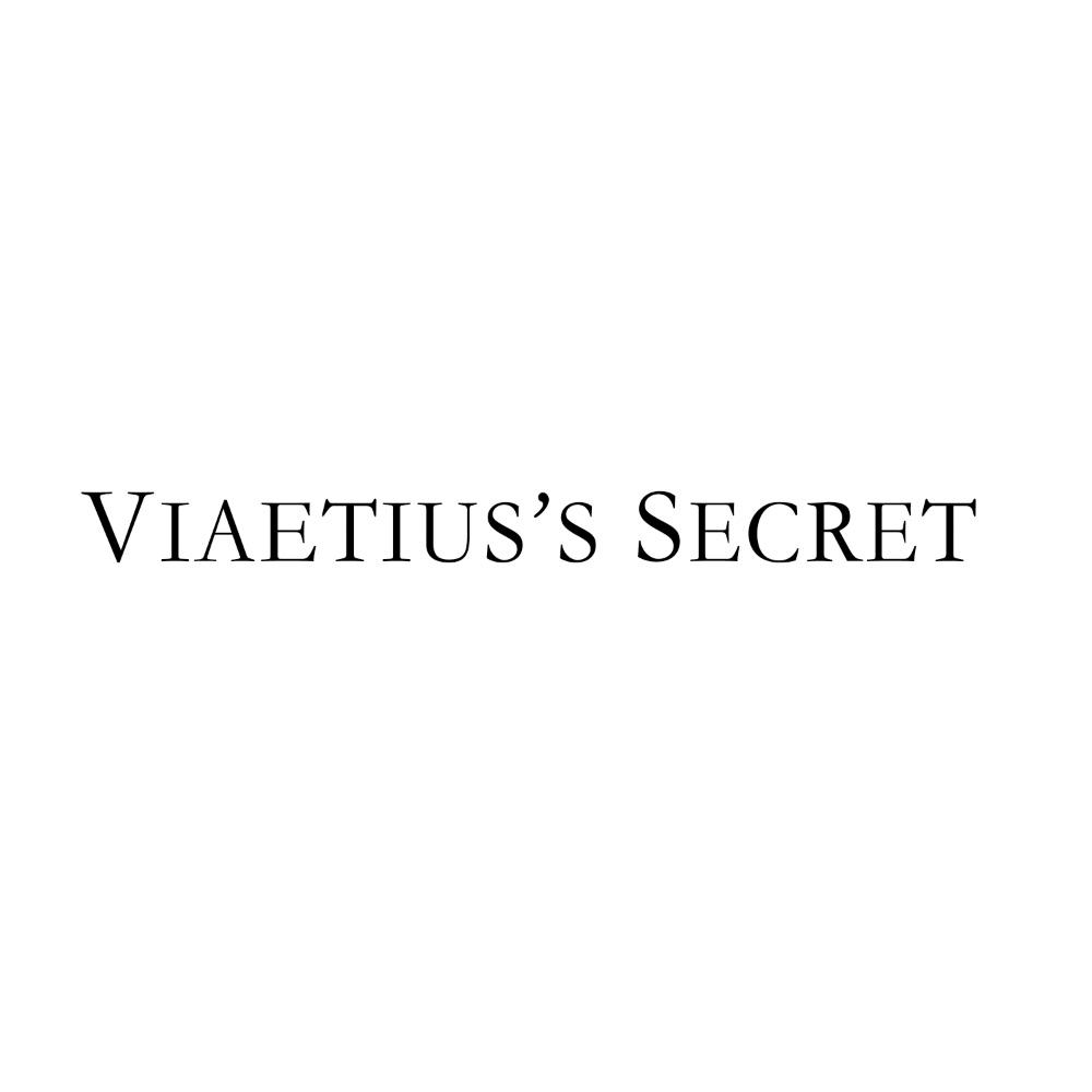 25类服装鞋帽-VIAETIUS''S SECRET