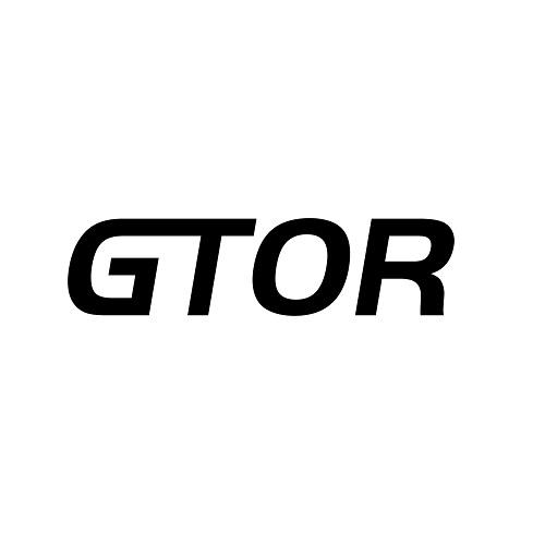 12类-运输装置GTOR商标转让