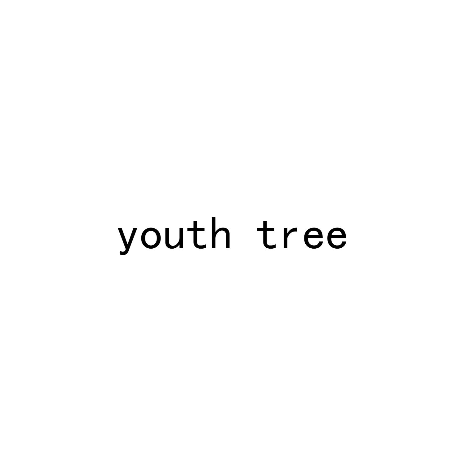 03类-日化用品YOUTH TREE商标转让