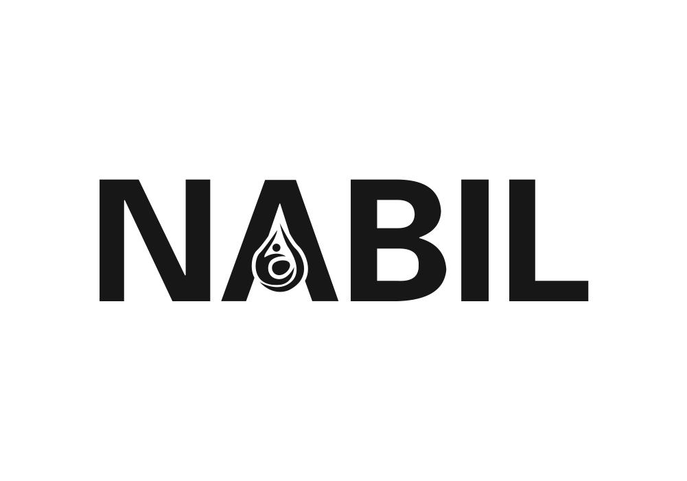 04类-燃料油脂NABIL商标转让