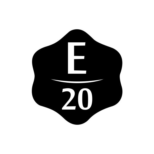 E 20商标转让