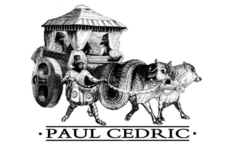 18类-箱包皮具PAUL CEDRIC商标转让