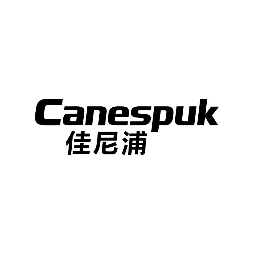 11类-电器灯具CANESPUK 佳尼浦商标转让