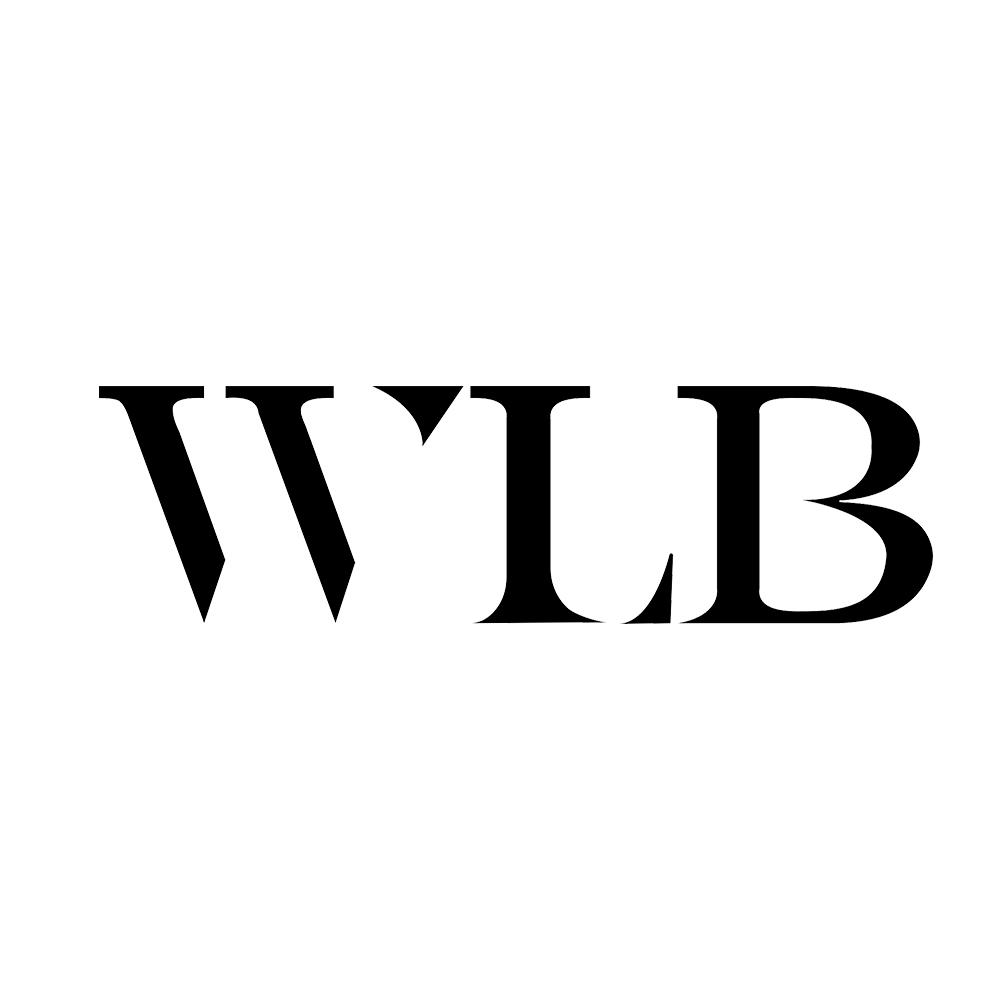 25类-服装鞋帽WLB商标转让