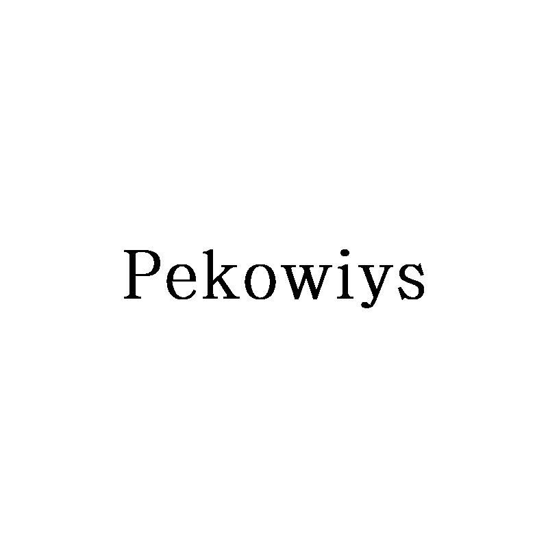 09类-科学仪器PEKOWIYS商标转让