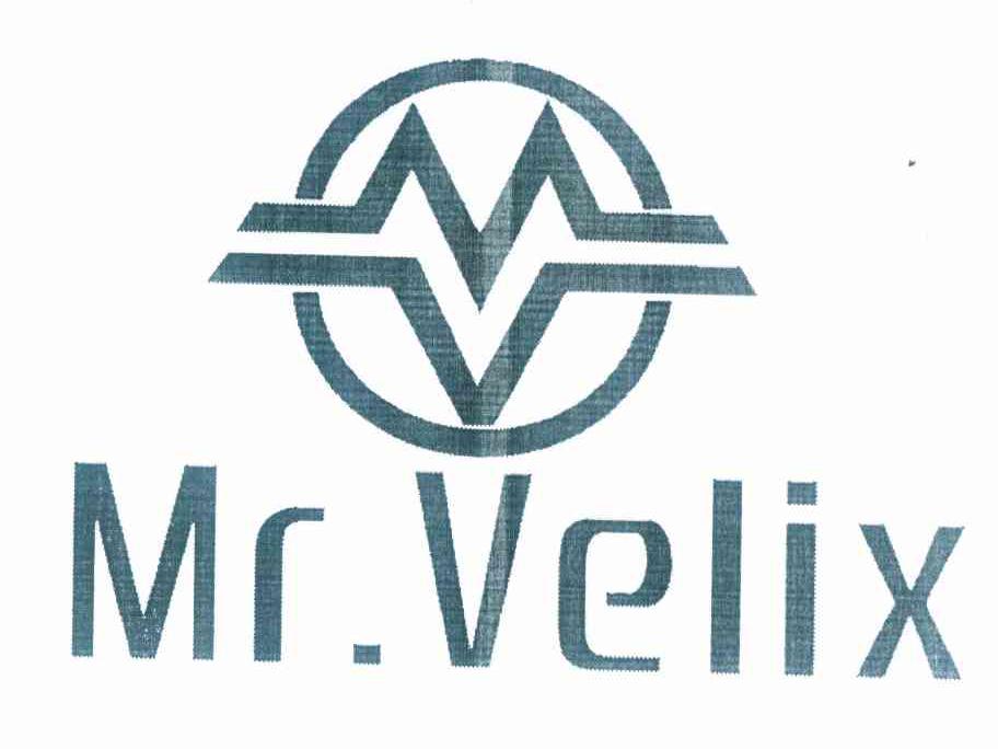 25类-服装鞋帽MR.VELIX商标转让
