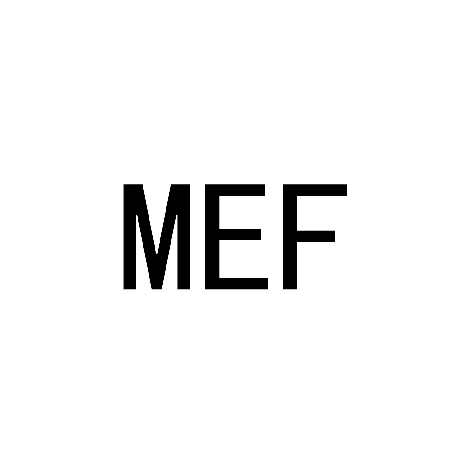28类-健身玩具MEF商标转让