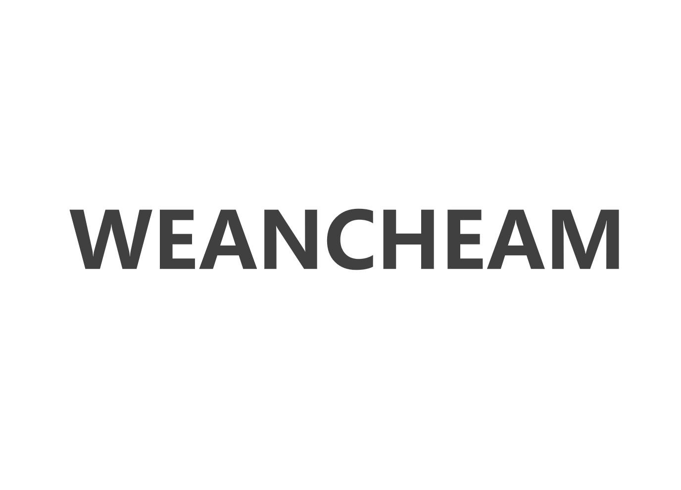 18类-箱包皮具WEANCHEAM商标转让