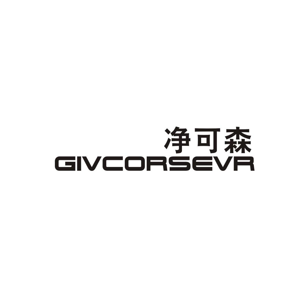 净可森 GIVCORSEVR