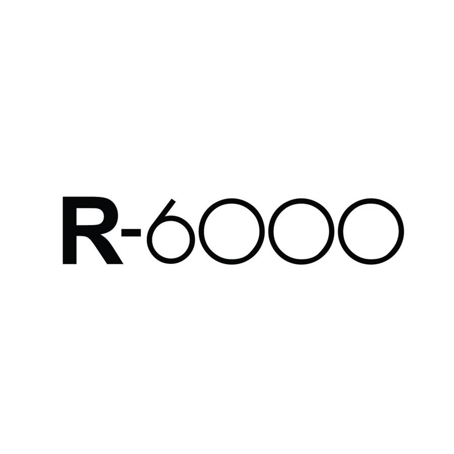R-6000商标转让