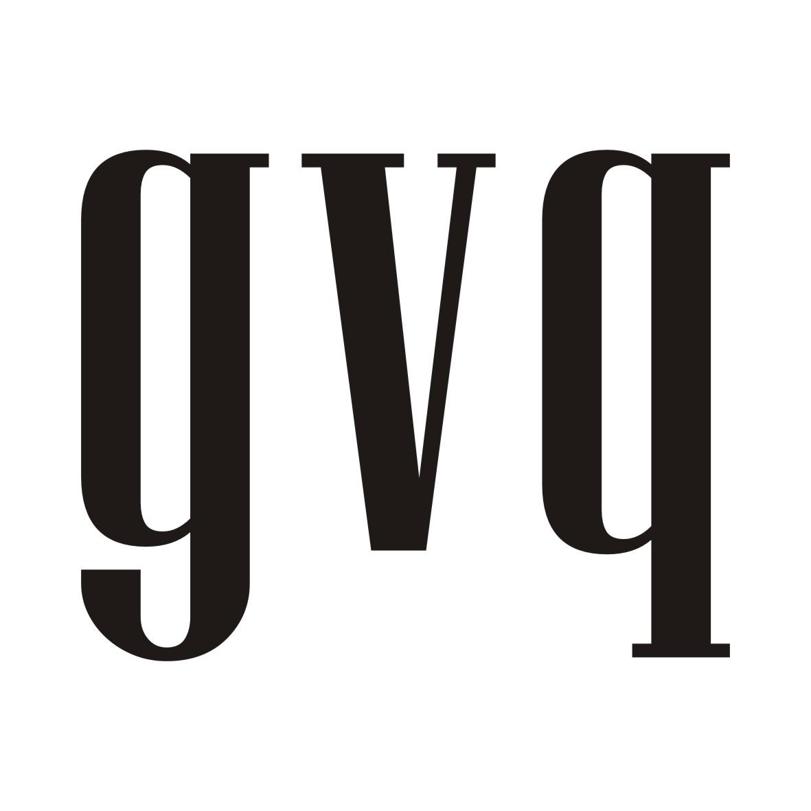 09类-科学仪器GVQ商标转让