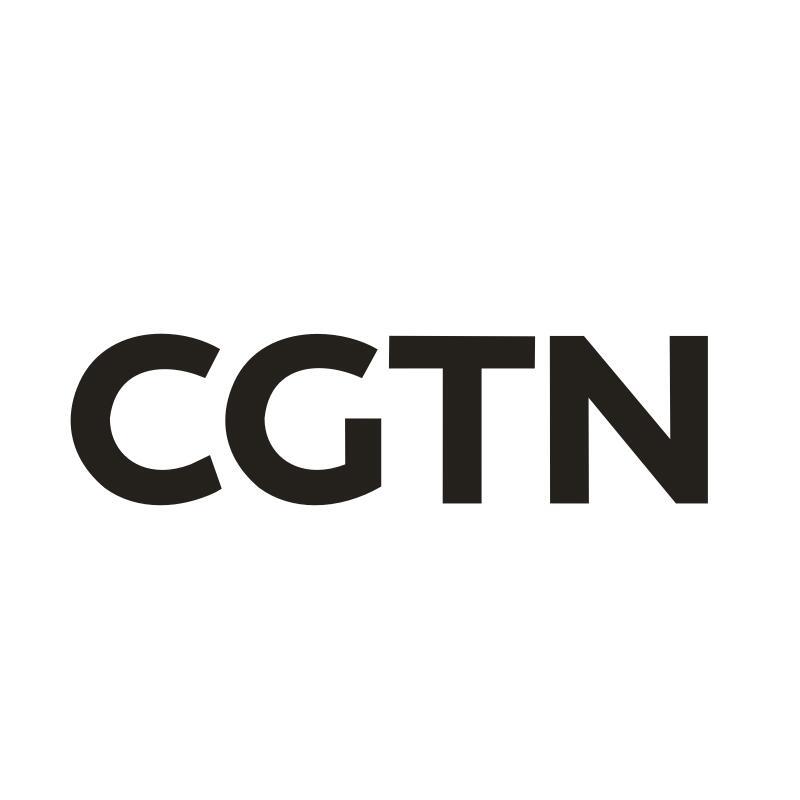09类-科学仪器CGTN商标转让