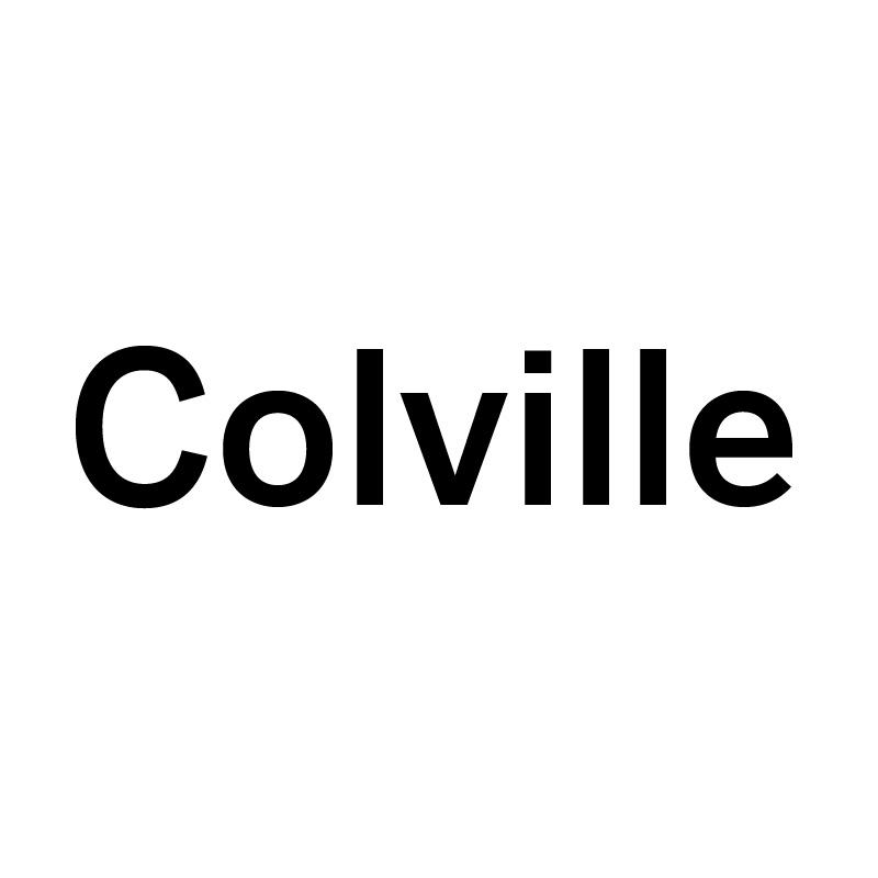 11类-电器灯具COLVILLE商标转让