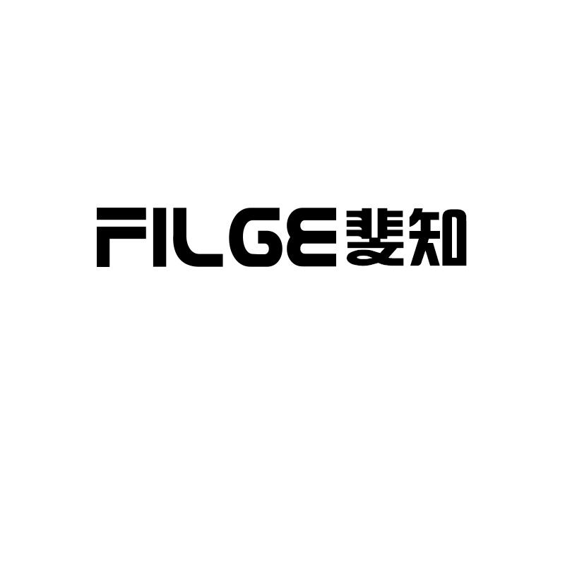 09类-科学仪器斐知 FILGE商标转让