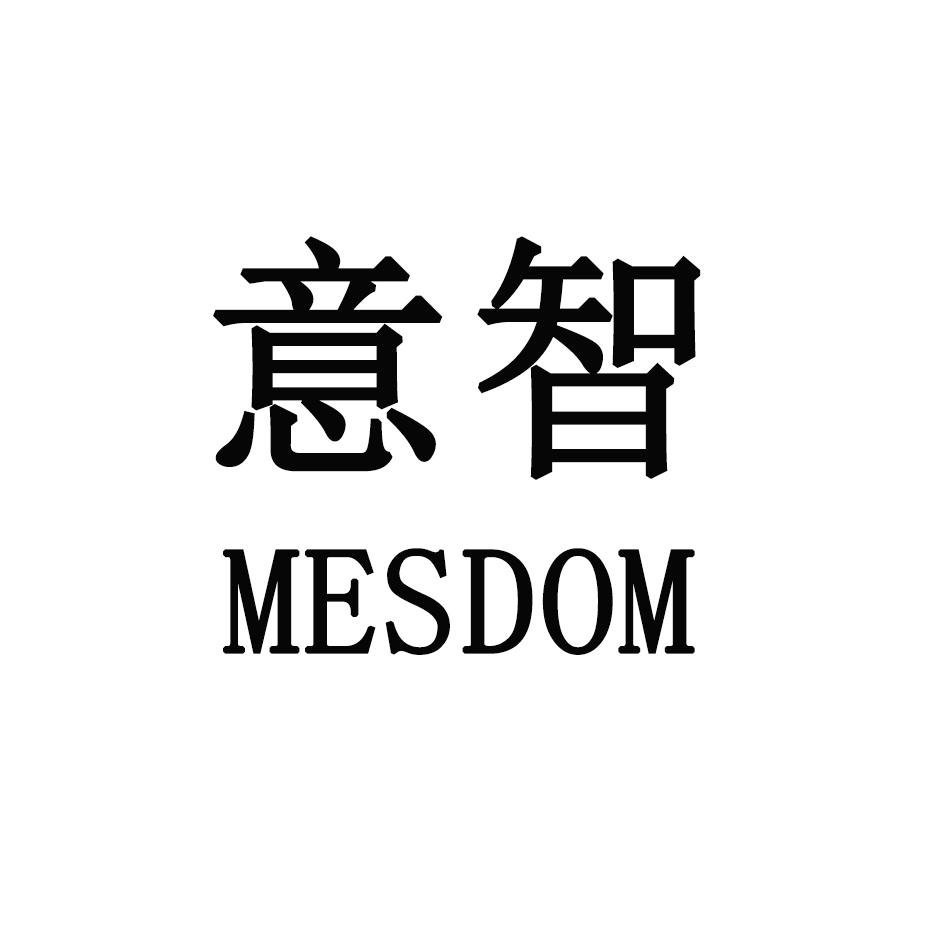 意智 MESDOM