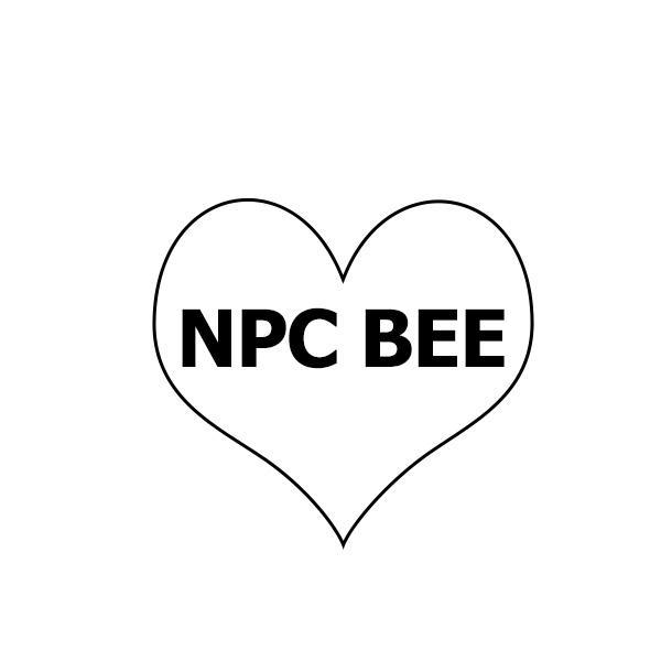 25类-服装鞋帽NPC BEE商标转让