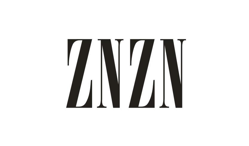 09类-科学仪器ZNZN商标转让