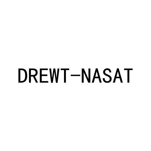 25类-服装鞋帽DREWT-NASAT商标转让