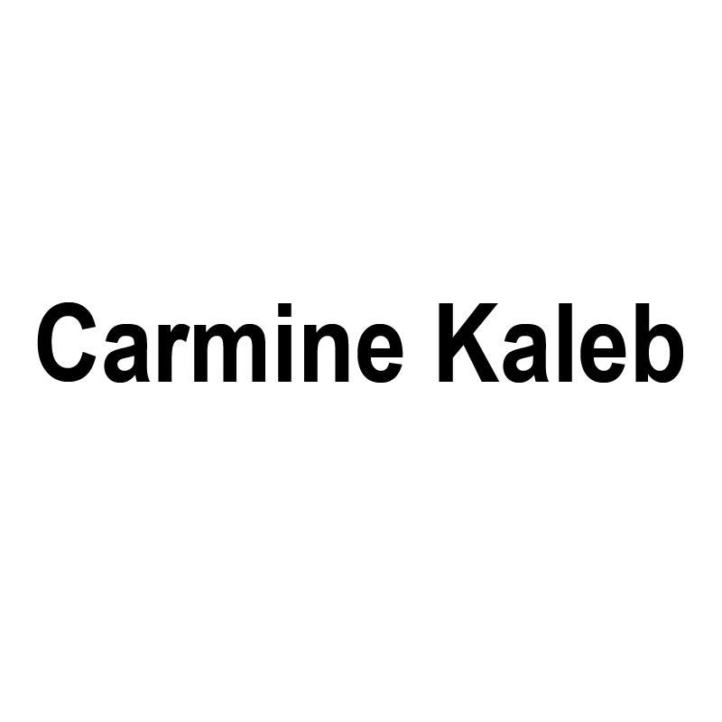 18类-箱包皮具CARMINE KALEB商标转让