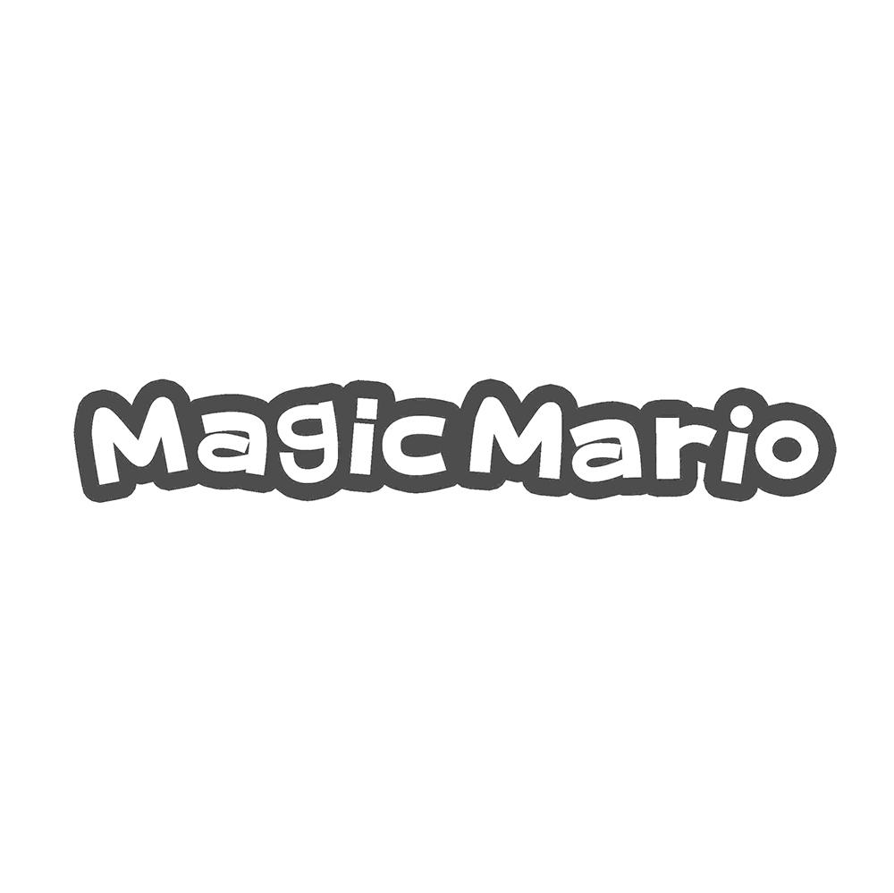 MAGIC MARIO商标转让