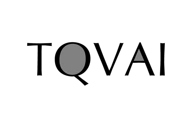 11类-电器灯具TQVAI商标转让