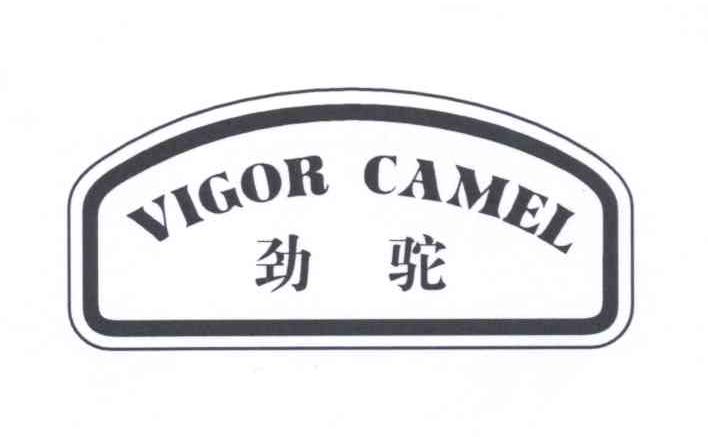 09类-科学仪器劲驼 VIGOR CAMEL商标转让