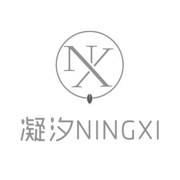 11类-电器灯具凝汐 NX商标转让