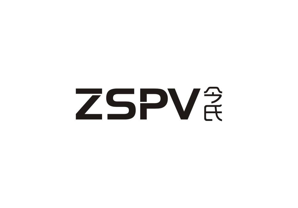 09类-科学仪器ZSPV 今氏商标转让
