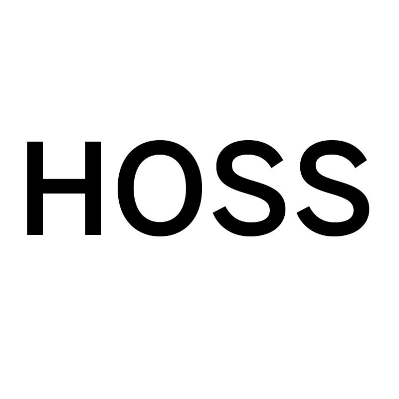 16类-办公文具HOSS商标转让