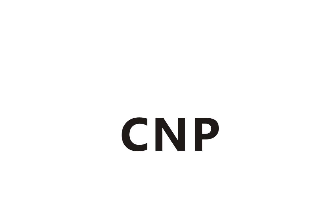 26类-纽扣拉链CNP商标转让