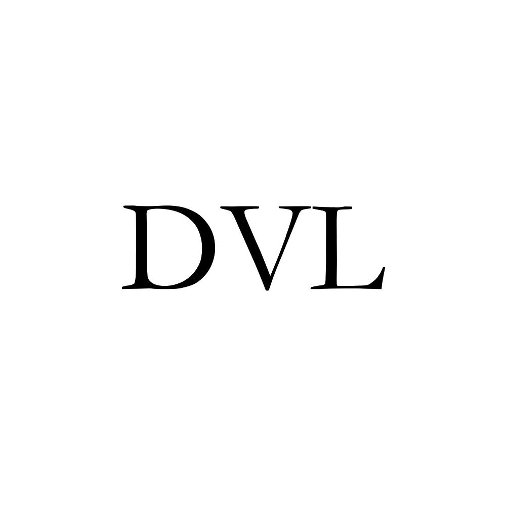 25类-服装鞋帽DVL商标转让