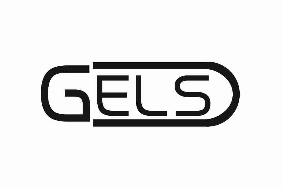 09类-科学仪器GELS商标转让