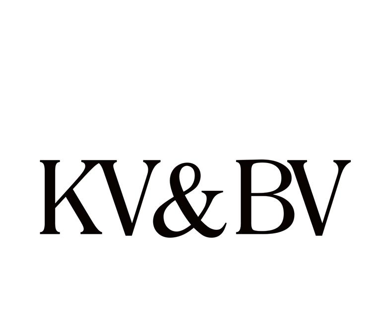 35类-广告销售KV&BV商标转让