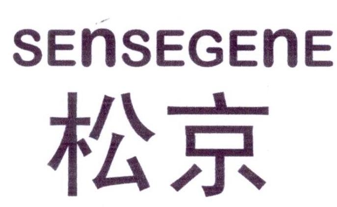 19类-建筑材料松京SENSEGENE商标转让