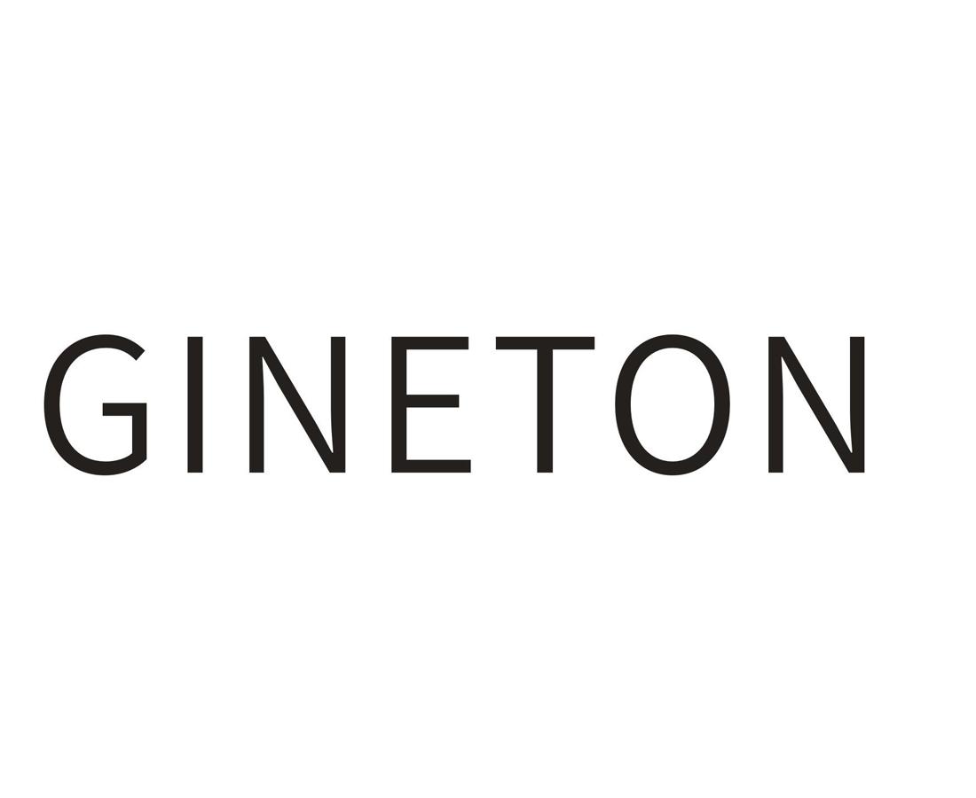 09类-科学仪器GINETON商标转让
