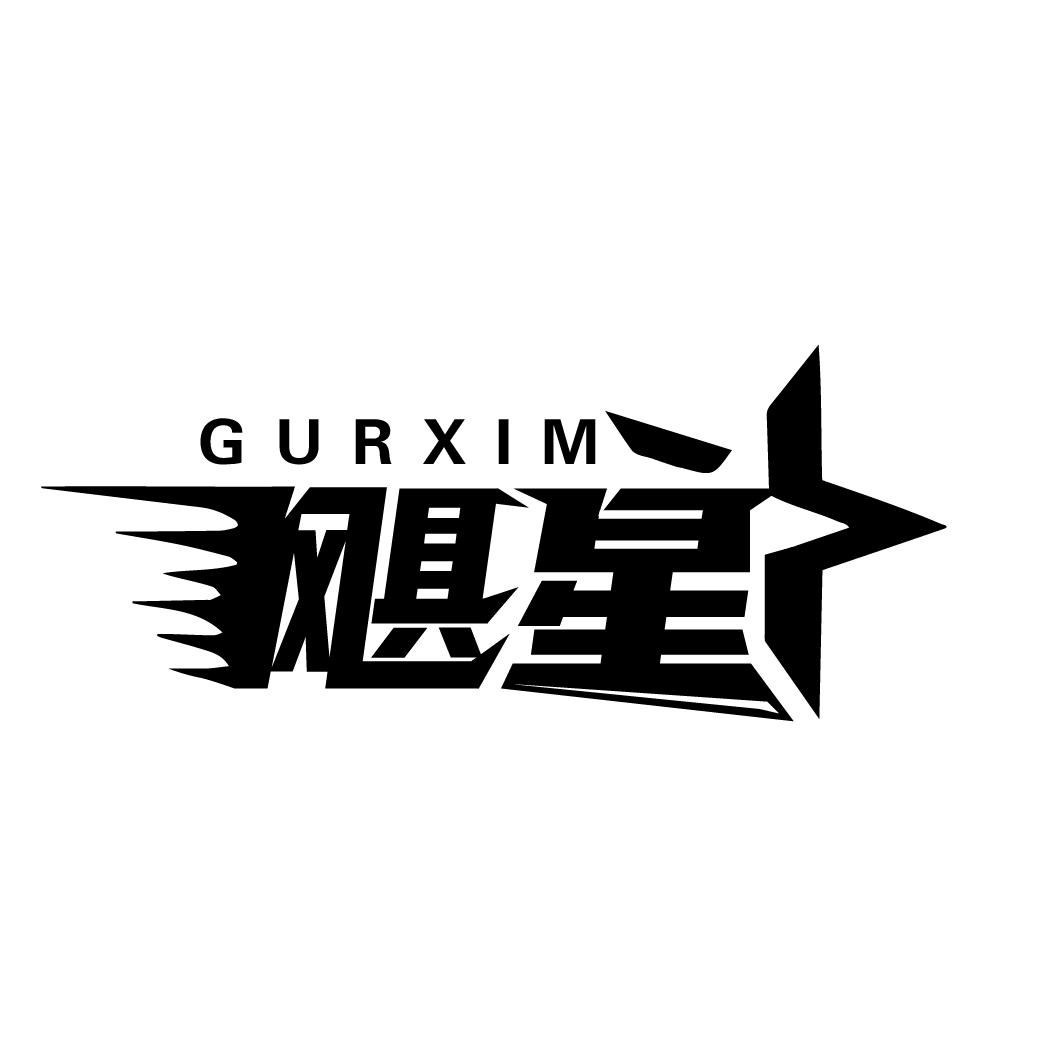 39类-运输旅行飓星 GURXIM商标转让
