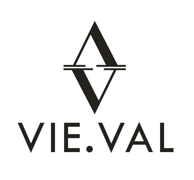 14类-珠宝钟表VIE. VAL VV商标转让