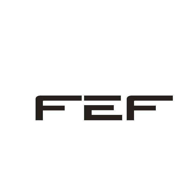 10类-医疗器械FEF商标转让