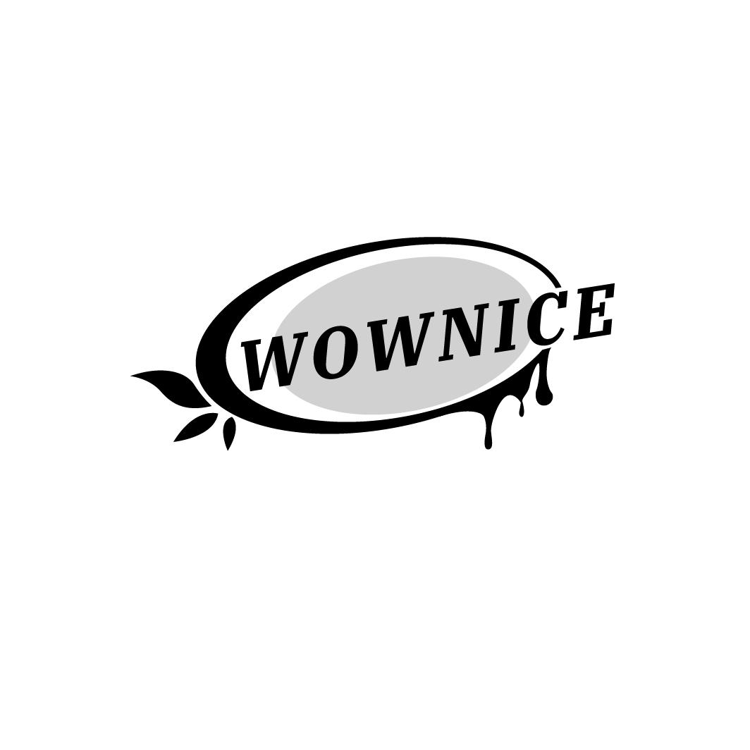 43类-餐饮住宿WOWNICE商标转让
