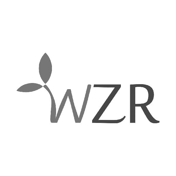 03类-日化用品WZR商标转让