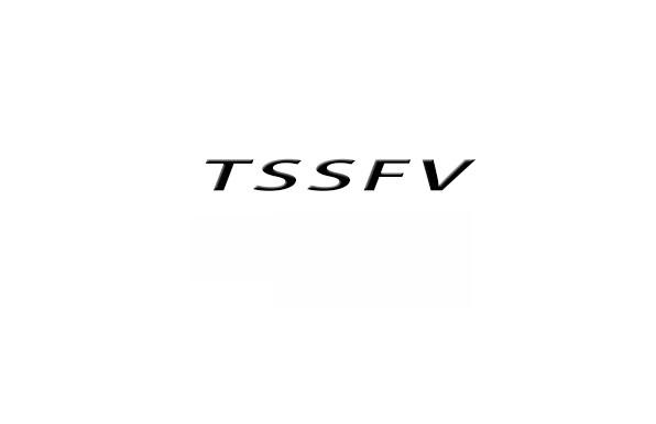 03类-日化用品TSSFV商标转让