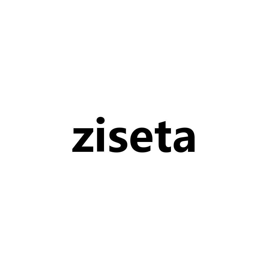 ZISETA商标转让