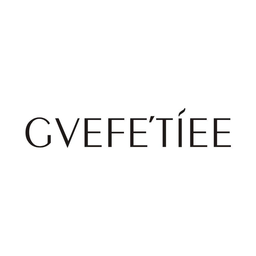18类-箱包皮具GVEFETIEE商标转让