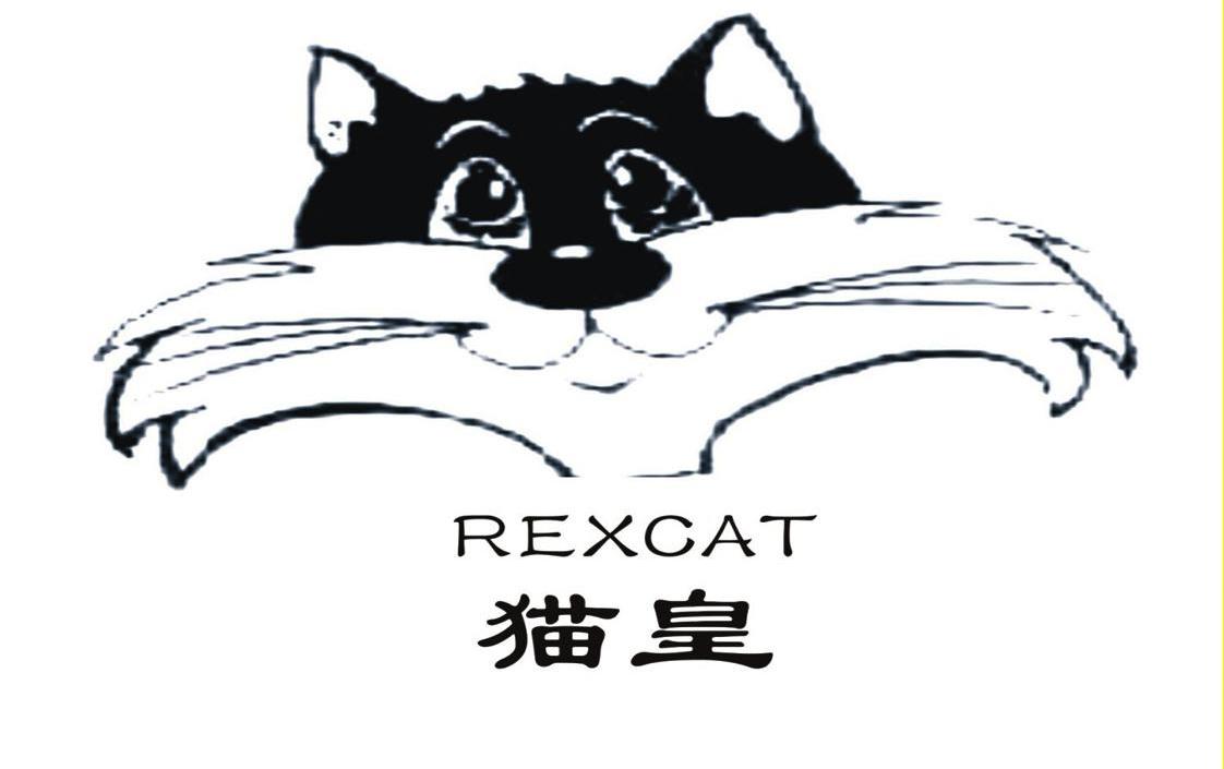 11类-电器灯具猫皇 REXCAT商标转让