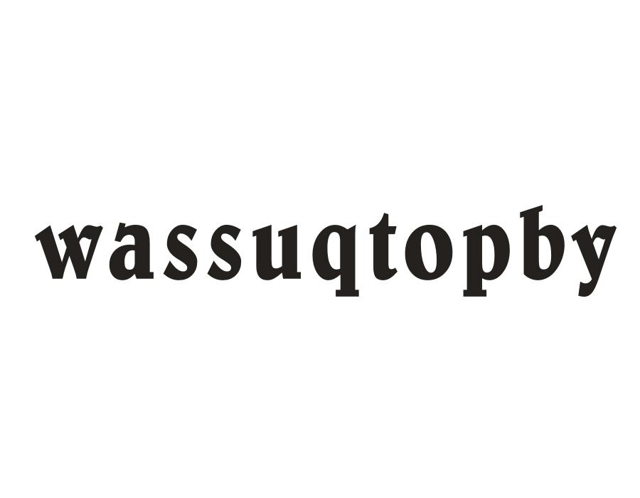 25类-服装鞋帽WASSUQTOPBY商标转让