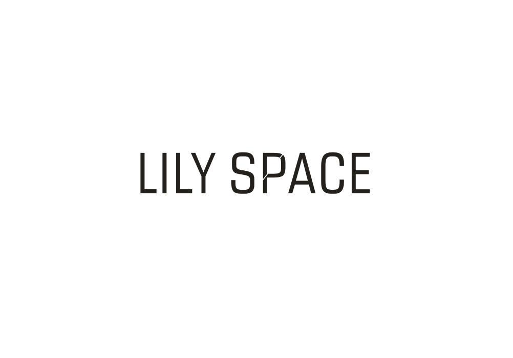 LILY SPACE商标转让