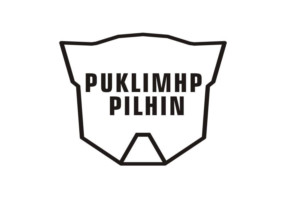25类-服装鞋帽PUKLIMHP PILHIN商标转让