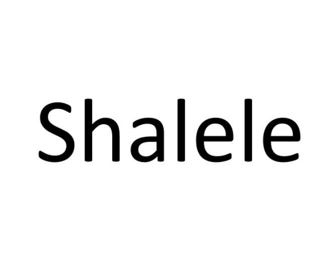 42类-网站服务SHALELE商标转让