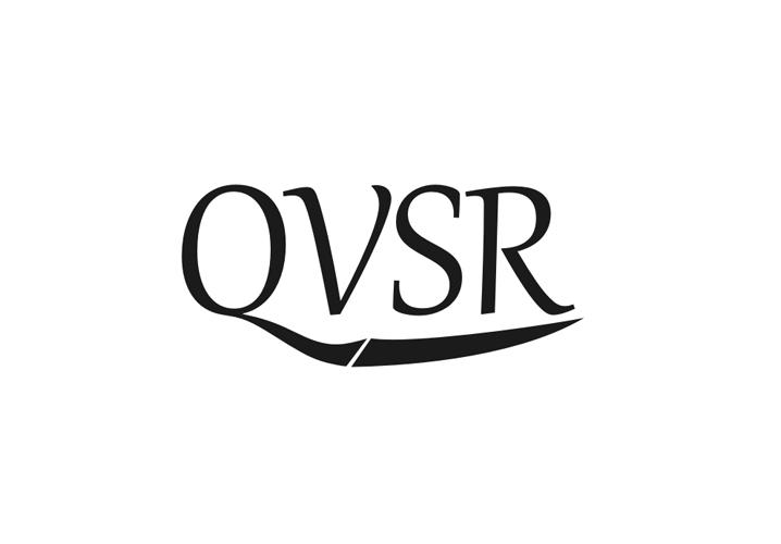 09类-科学仪器QVSR商标转让