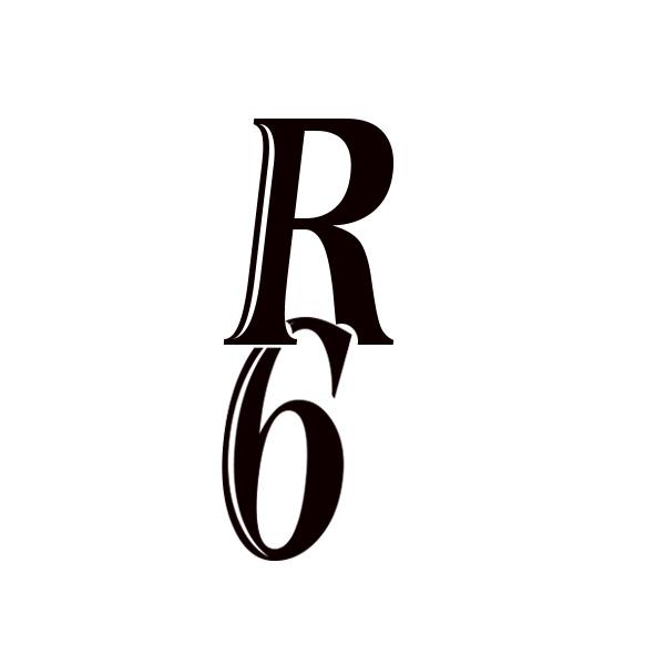 R6商标转让